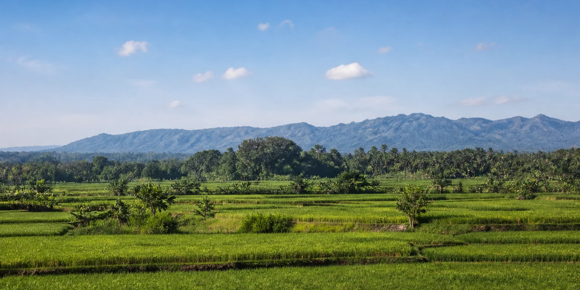 Virtuoso Hotels in Java, Indonesien