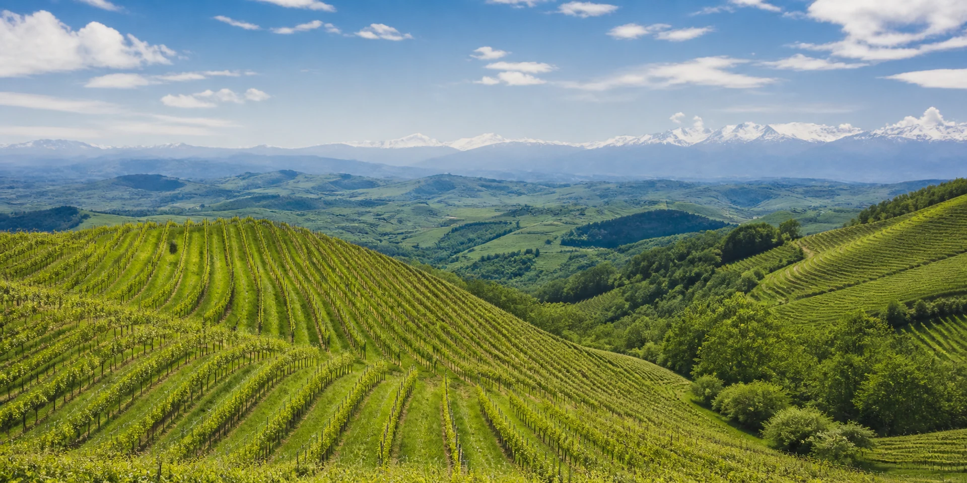 Virtuoso Hotels in Alba, Italy