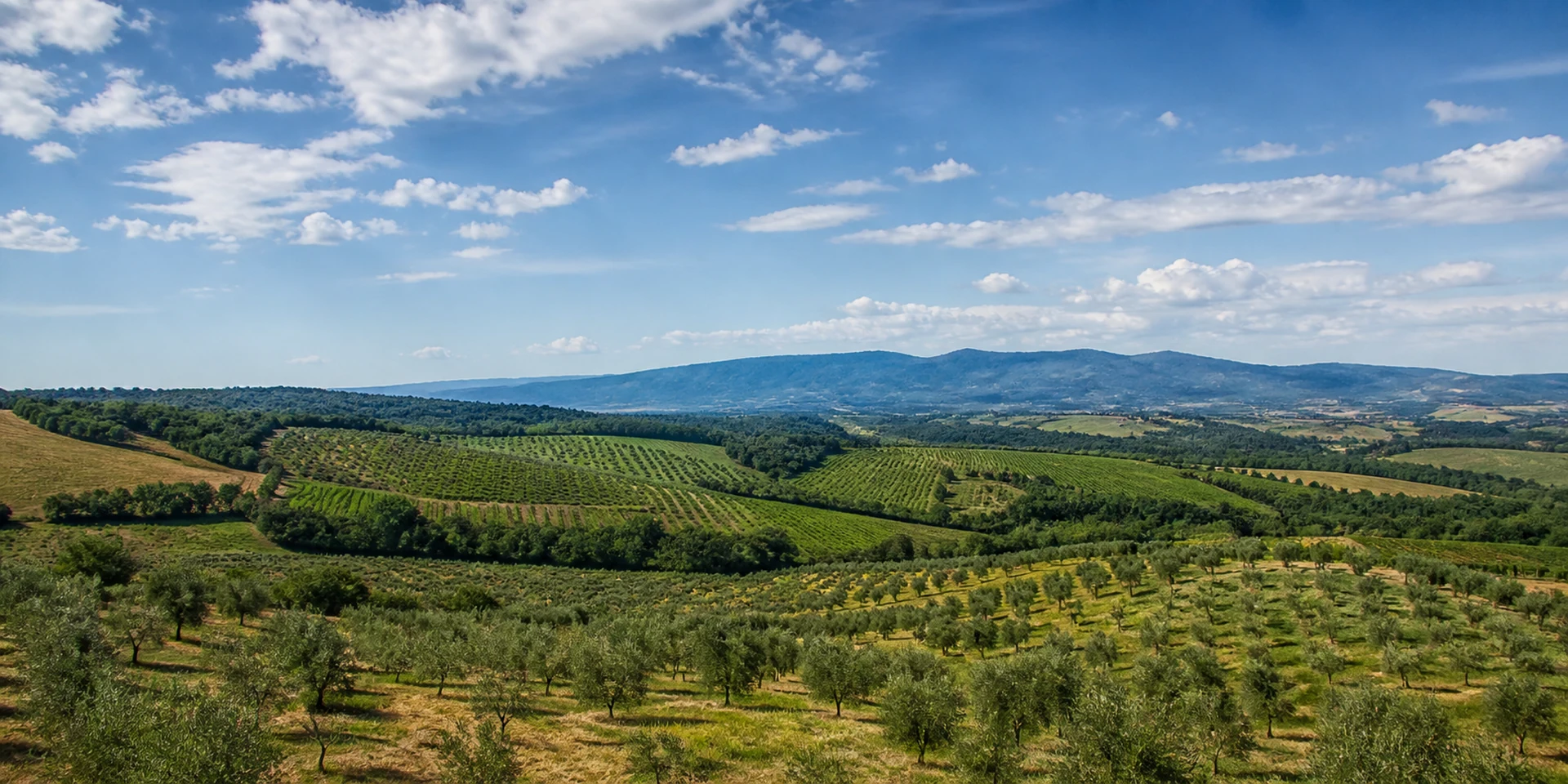 Virtuoso Hotels in Arezzo, Italy