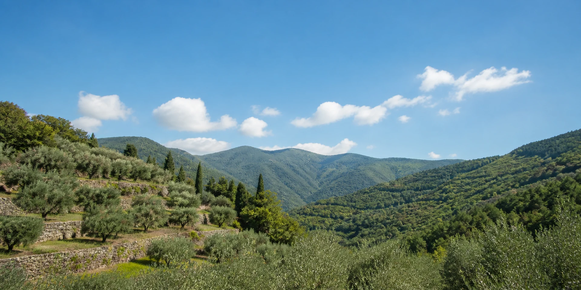 Virtuoso Hotels in Garlenda, Italy