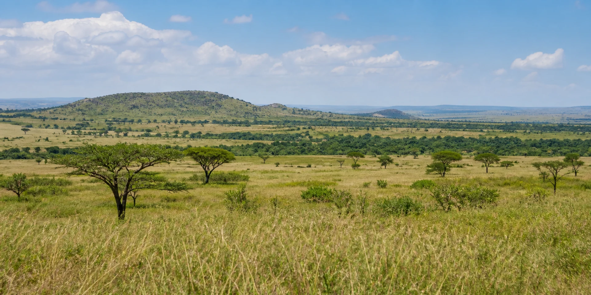 Virtuoso Hotels in Maasai Mara, Kenya