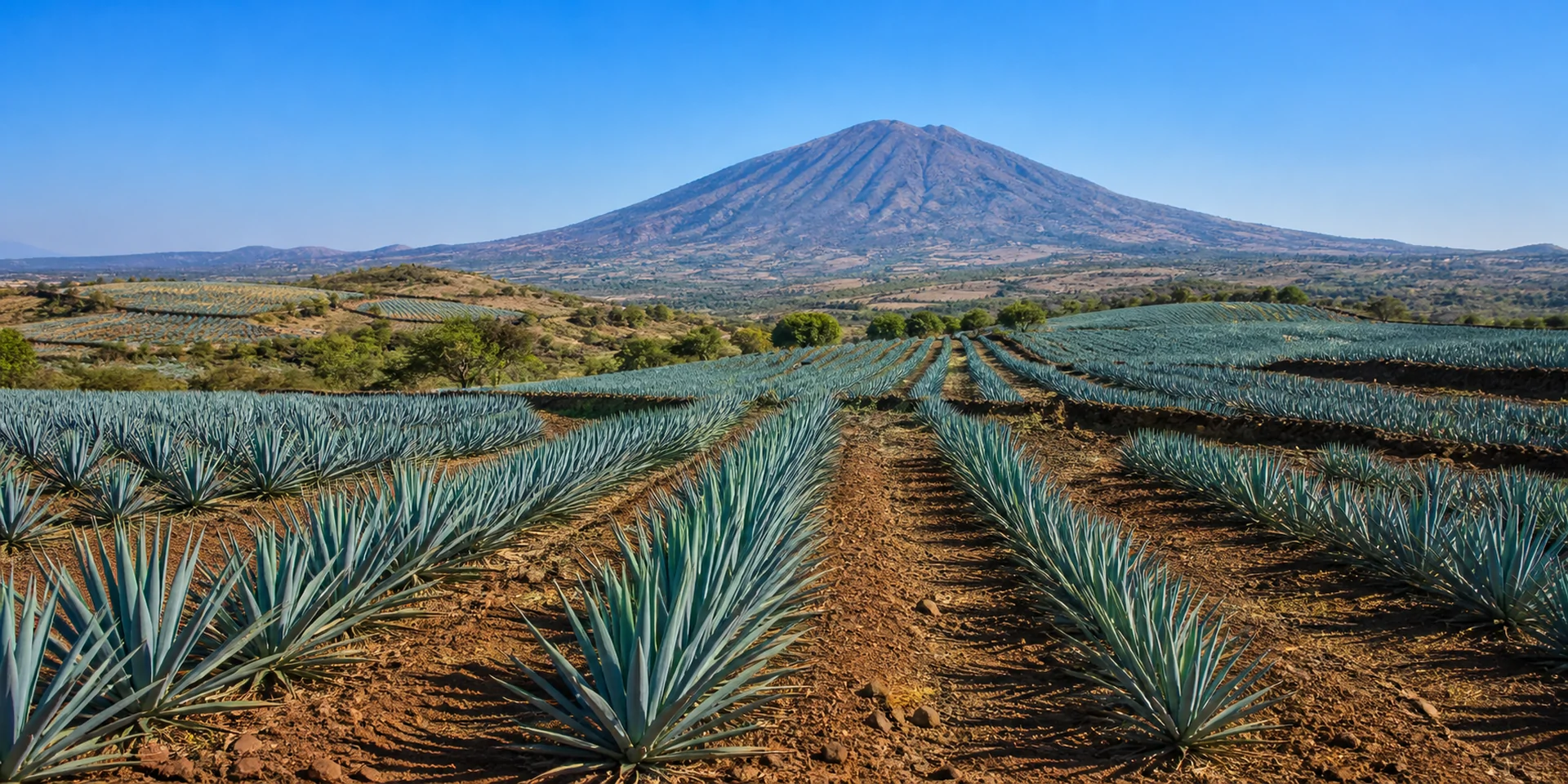 Virtuoso Hotels in Tequila, Mexico