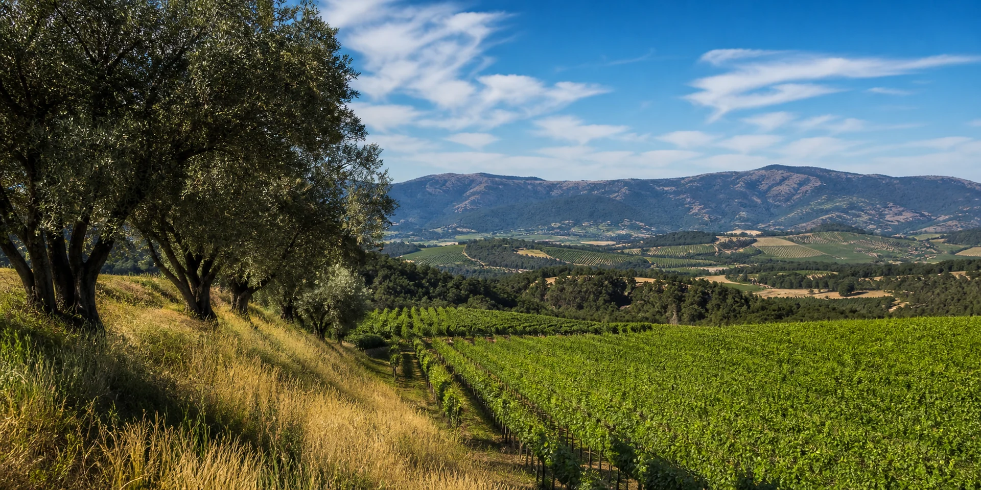 Virtuoso Hotels in Napa, Vereinigte Staaten
