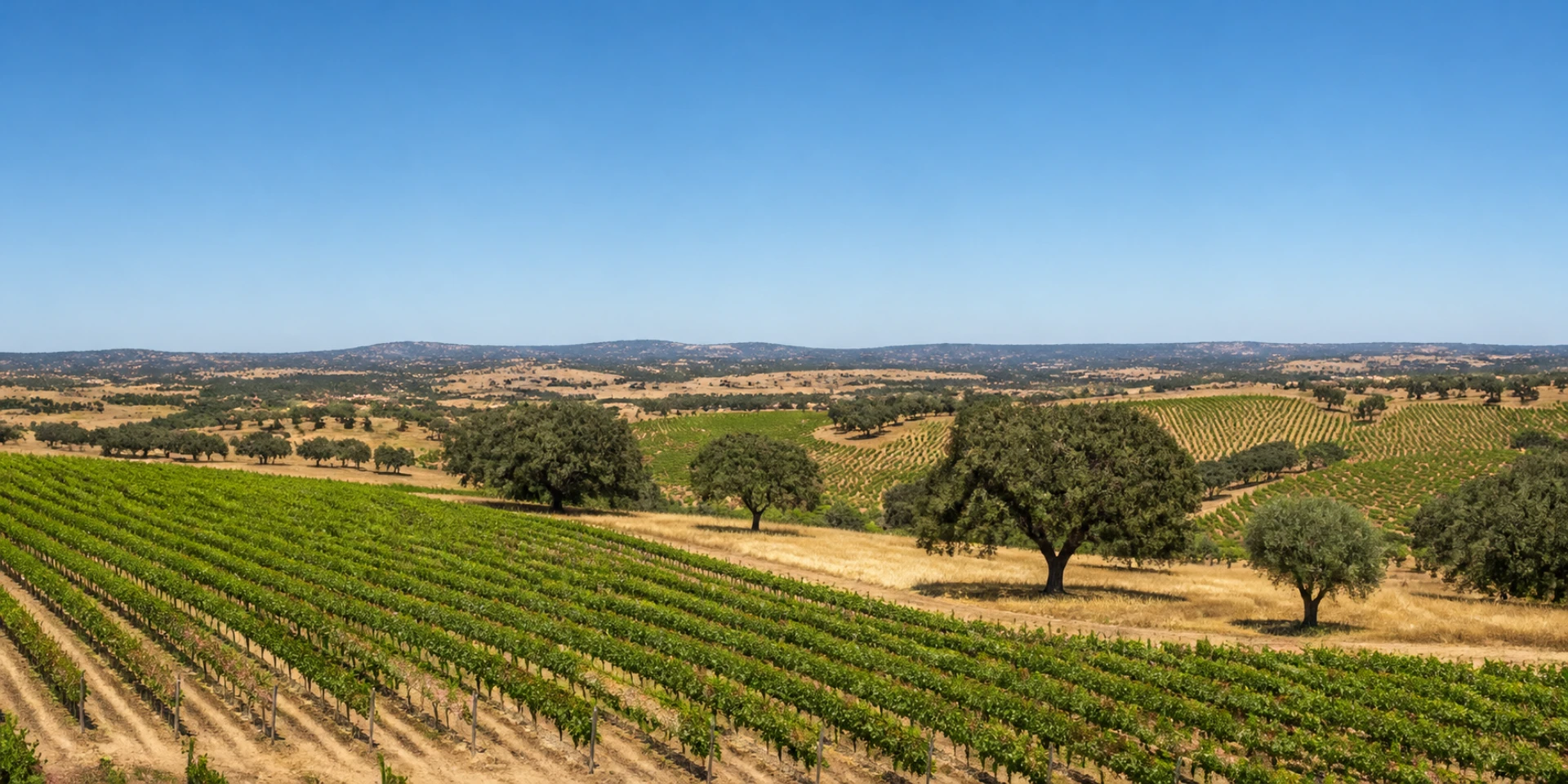 Virtuoso Hotels in Beja, Portugal