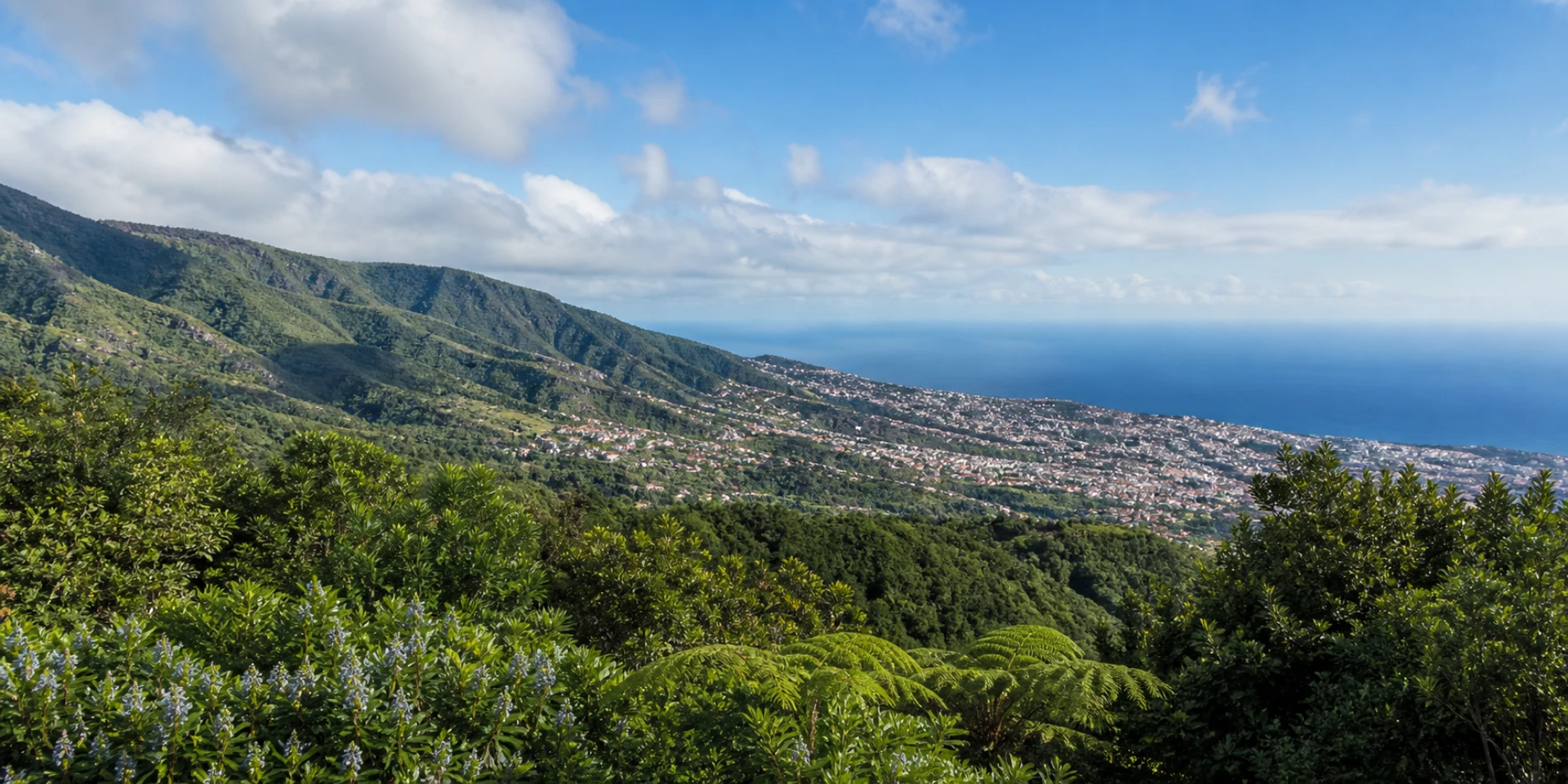 Hôtels Virtuoso à Funchal, Portugal