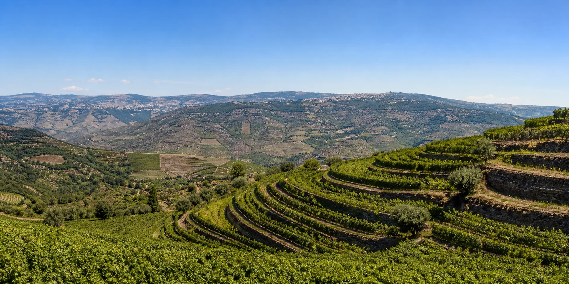 Virtuoso Hotels in Lamego, Portugal