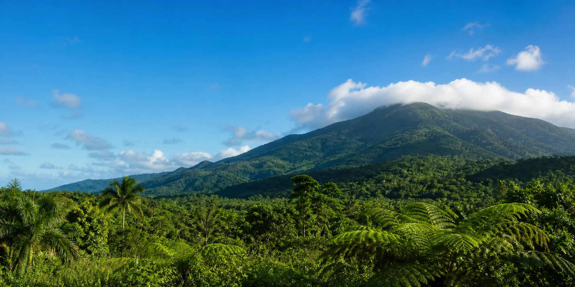 Virtuoso Hotels in Rio Grande, Puerto Rico