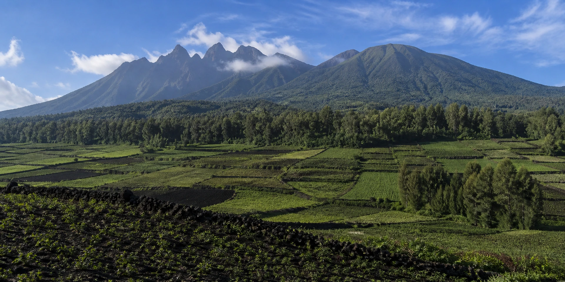 Virtuoso Hotels in Kinigi, Rwanda