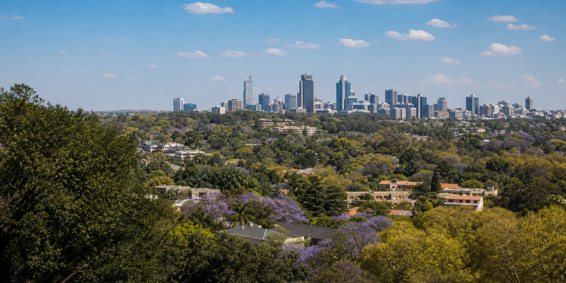 Virtuoso Hotels in Johannesburg, South Africa