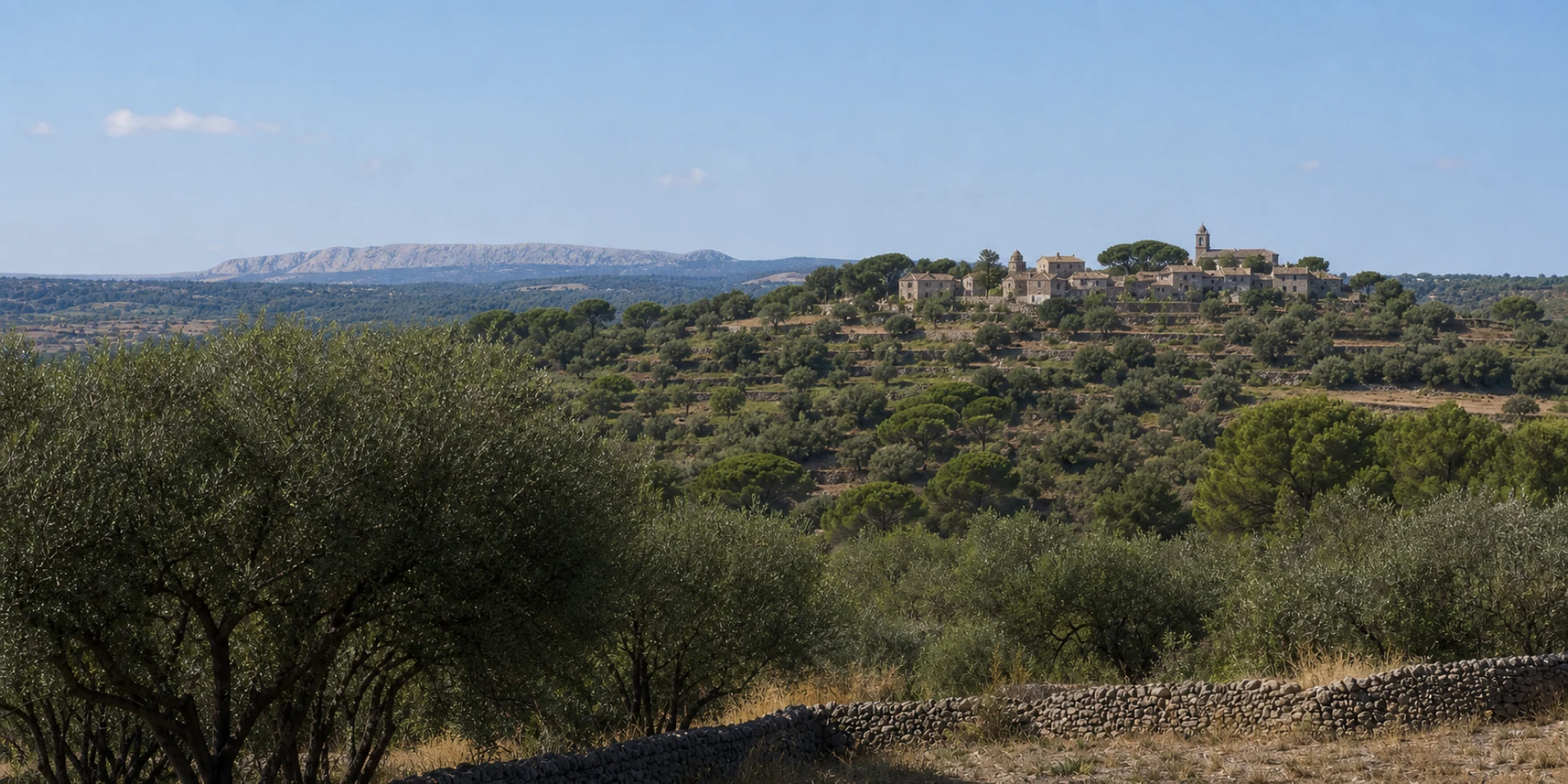 Virtuoso Hotels in Torrent, Spanien