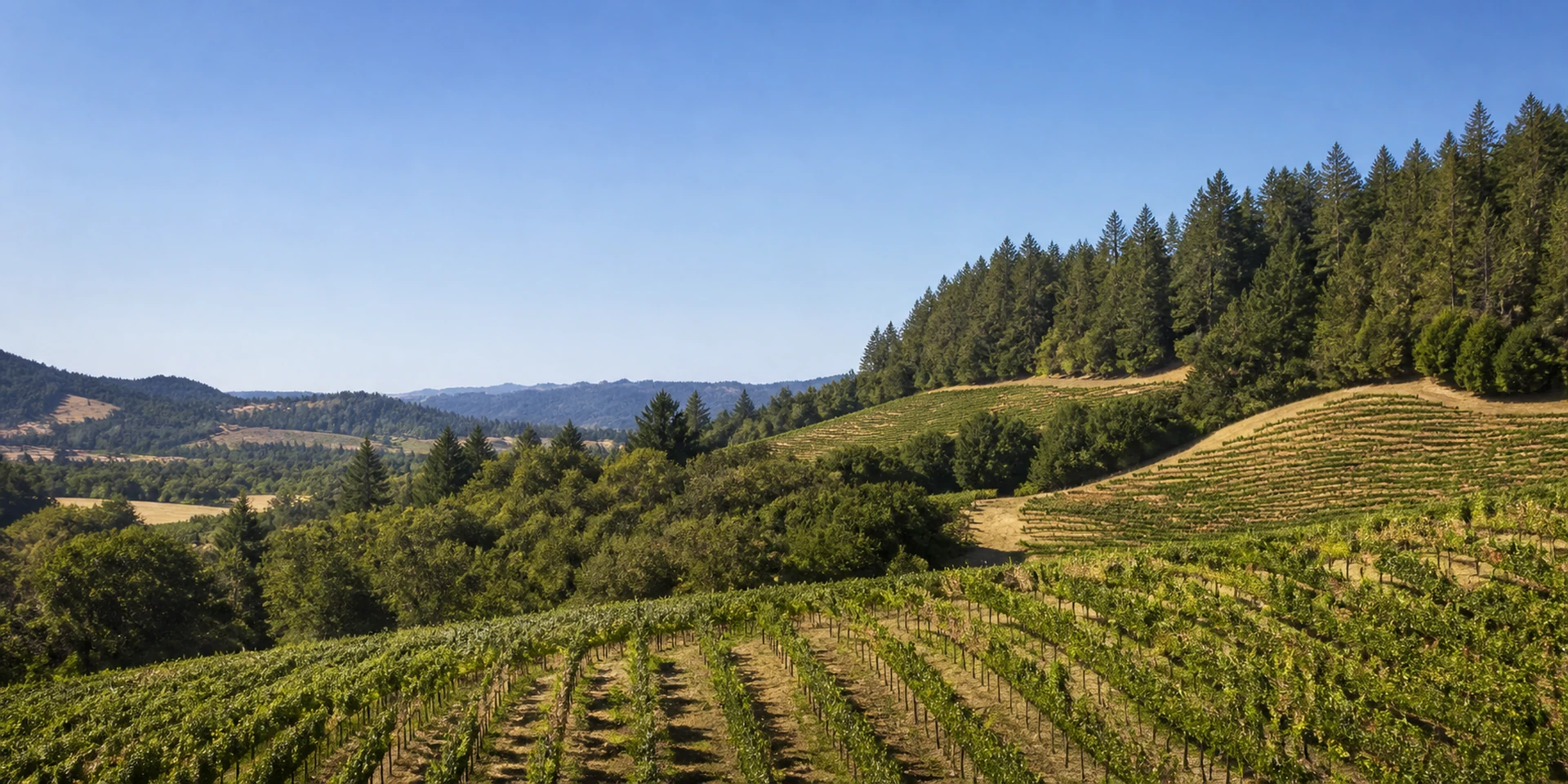 Hôtels Virtuoso à Forestville, États-Unis