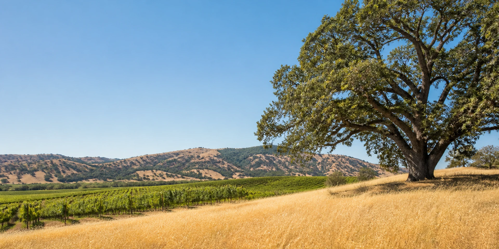 Virtuoso Hotels in Healdsburg, United States
