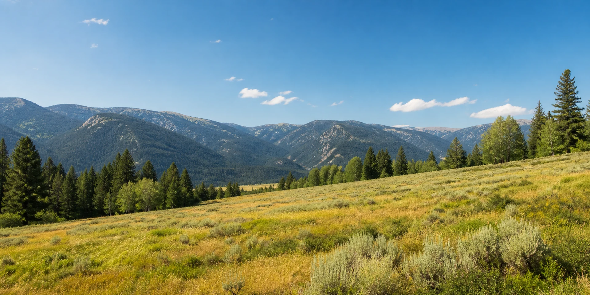 Virtuoso Hotels in Philipsburg, United States