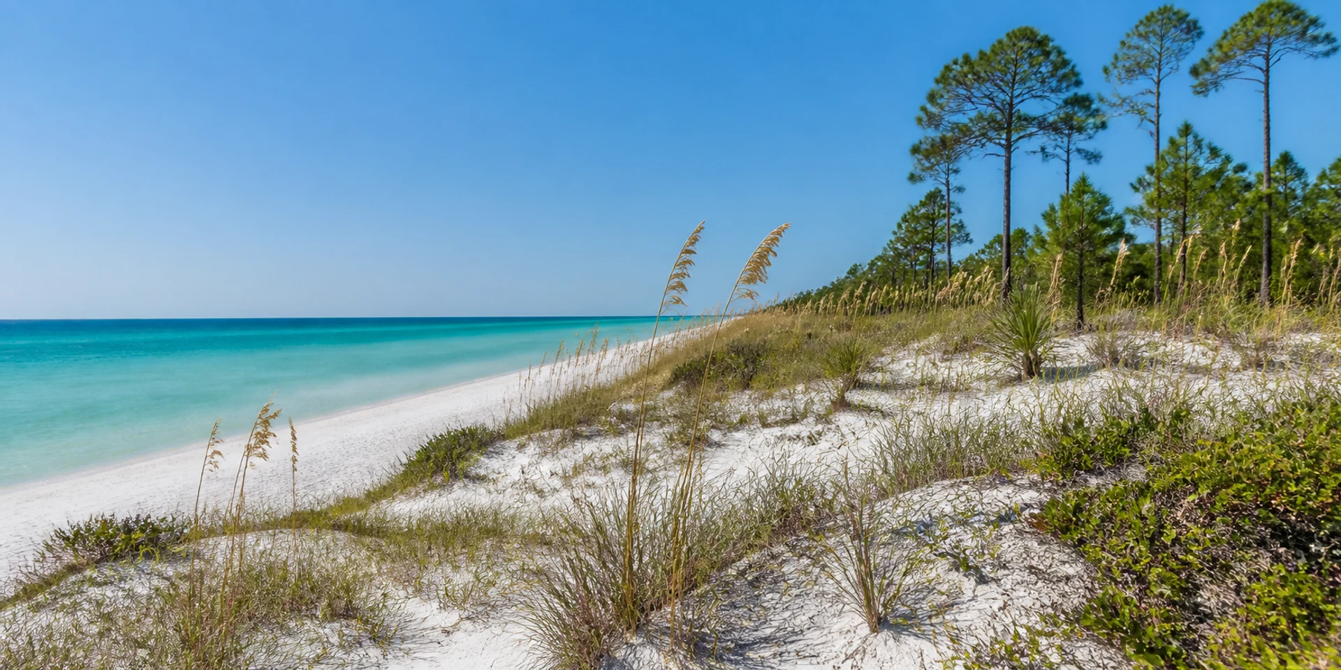 Virtuoso Hotels in Santa Rosa Beach, United States