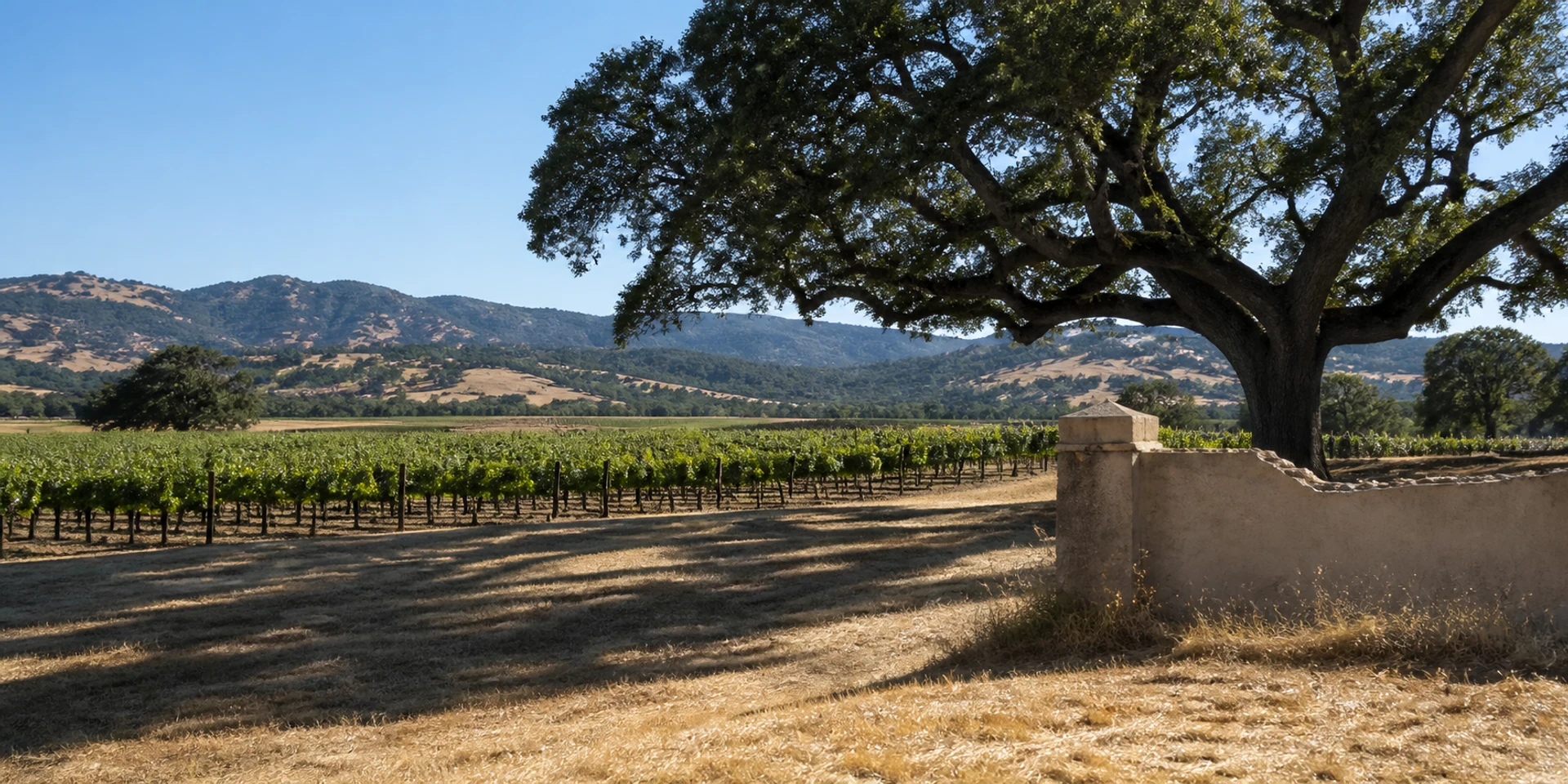 Virtuoso Hotels in Sonoma, United States