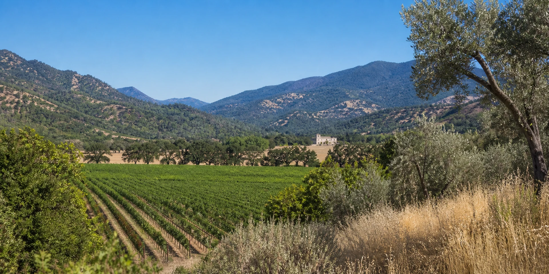 Virtuoso Hotels in St. Helena, Vereinigte Staaten