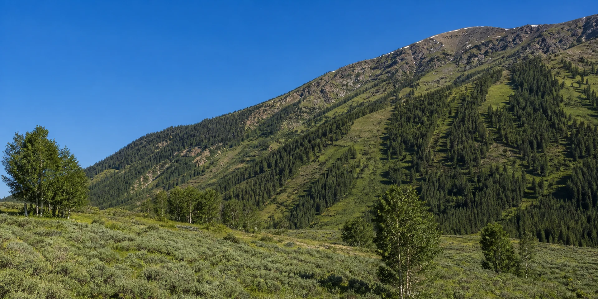 Virtuoso Hotels in Teton Village, United States