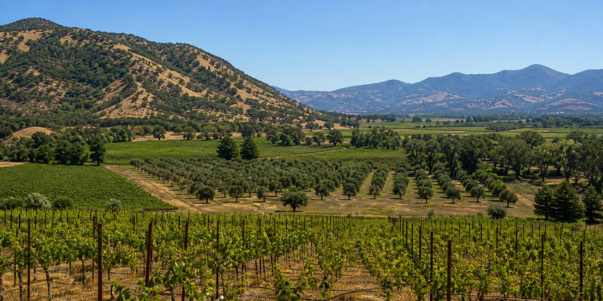 Hôtels Virtuoso à Yountville, États-Unis