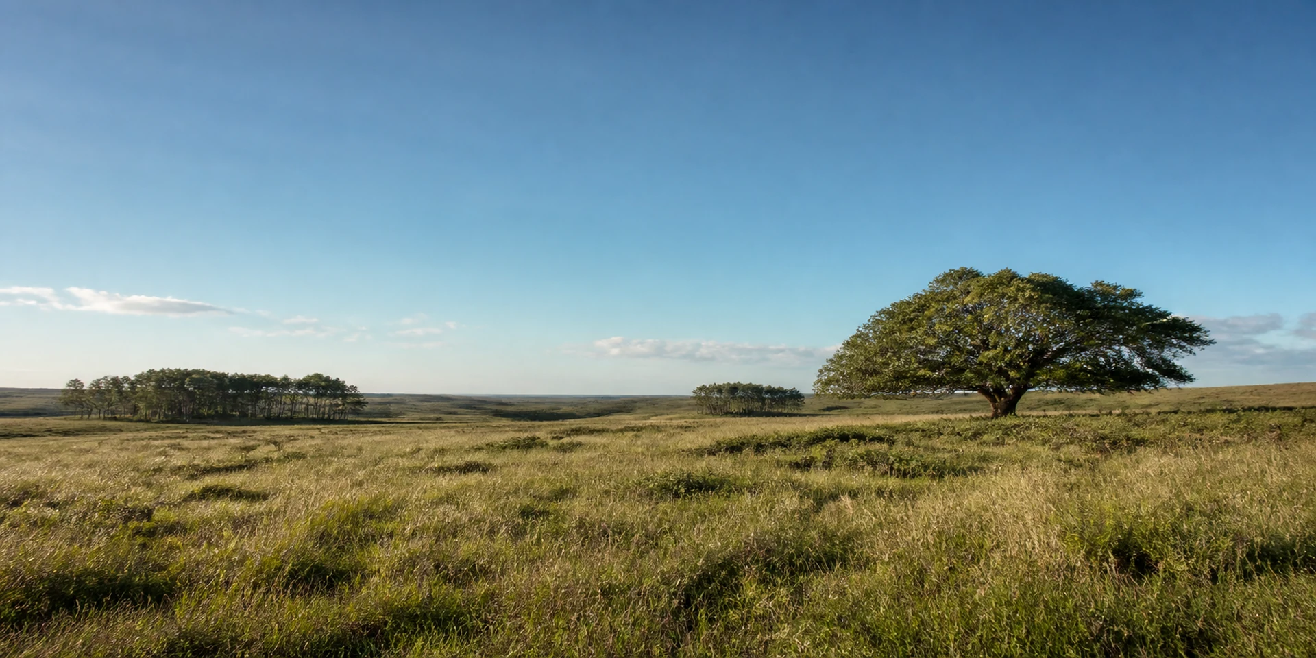 Virtuoso Hotels in Camino Saiz Martinez, Uruguay