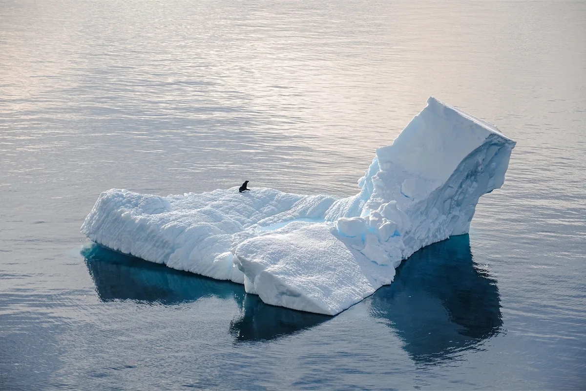 Péninsule Antarctique à bord d’un navire d’expédition – Impression de voyage 1