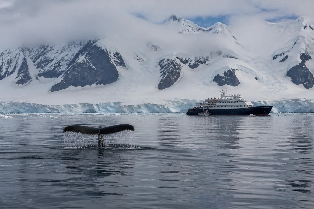 Péninsule Antarctique à bord d’un navire d’expédition – Impression de voyage 6