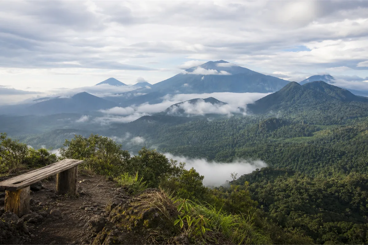 Gorilles du Congo et expédition volcanique – Impression de voyage 7