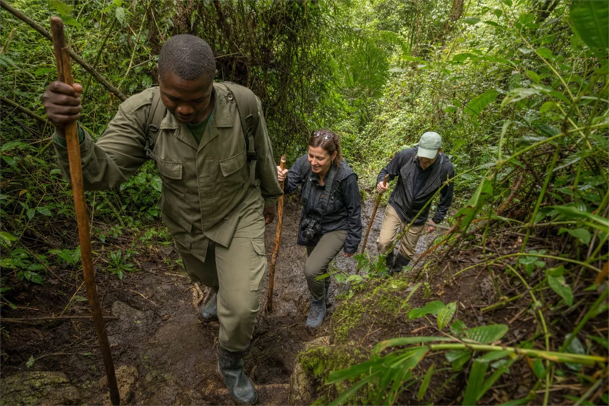 Gorilla-Trekking in Uganda – Reiseimpression 1