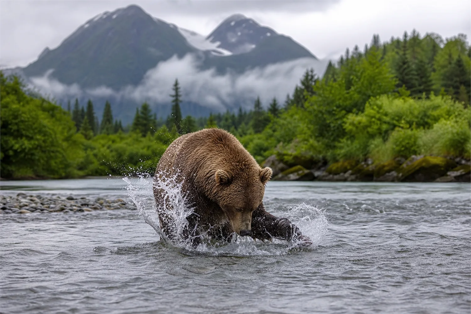 Grizzlybären-Safari in Alaska und British Columbia: Panorama des exklusiven Reiseerlebnisses