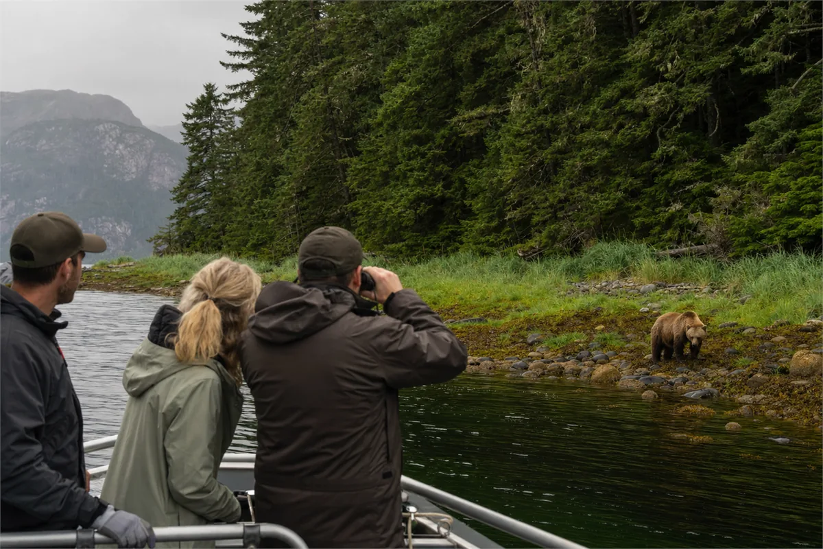 Safari à la rencontre des grizzlis en Alaska et en Colombie-Britannique – Impression de voyage 1
