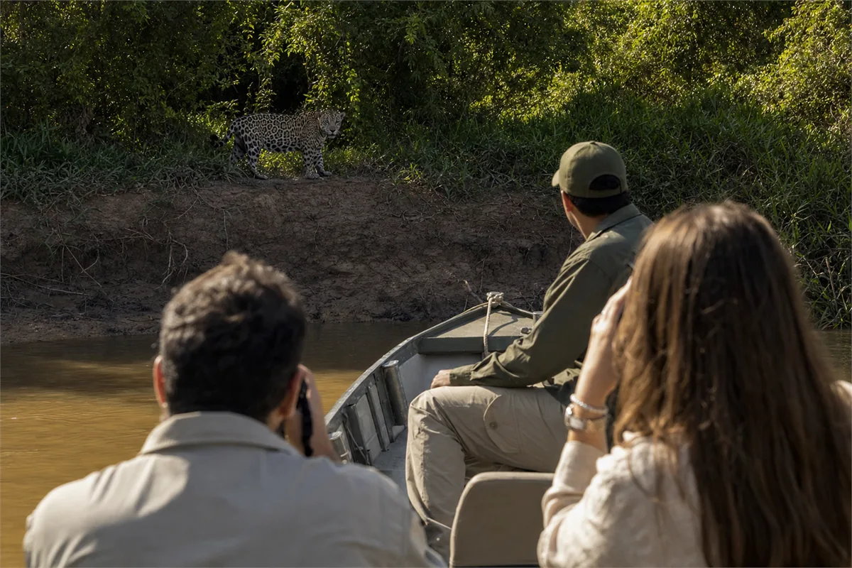 Jaguar-Safari im Pantanal – Reiseimpression 1