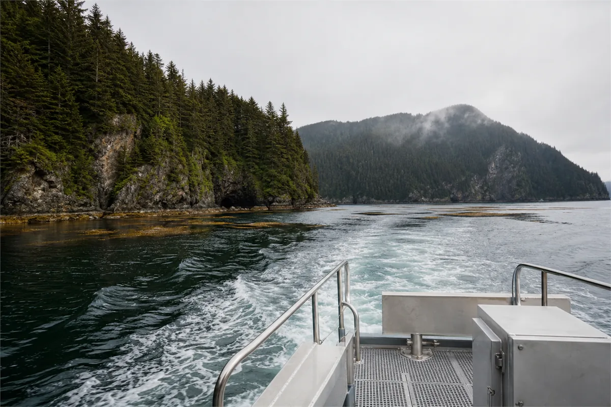 Kodiak Bear Private Expedition – Travel impression 5