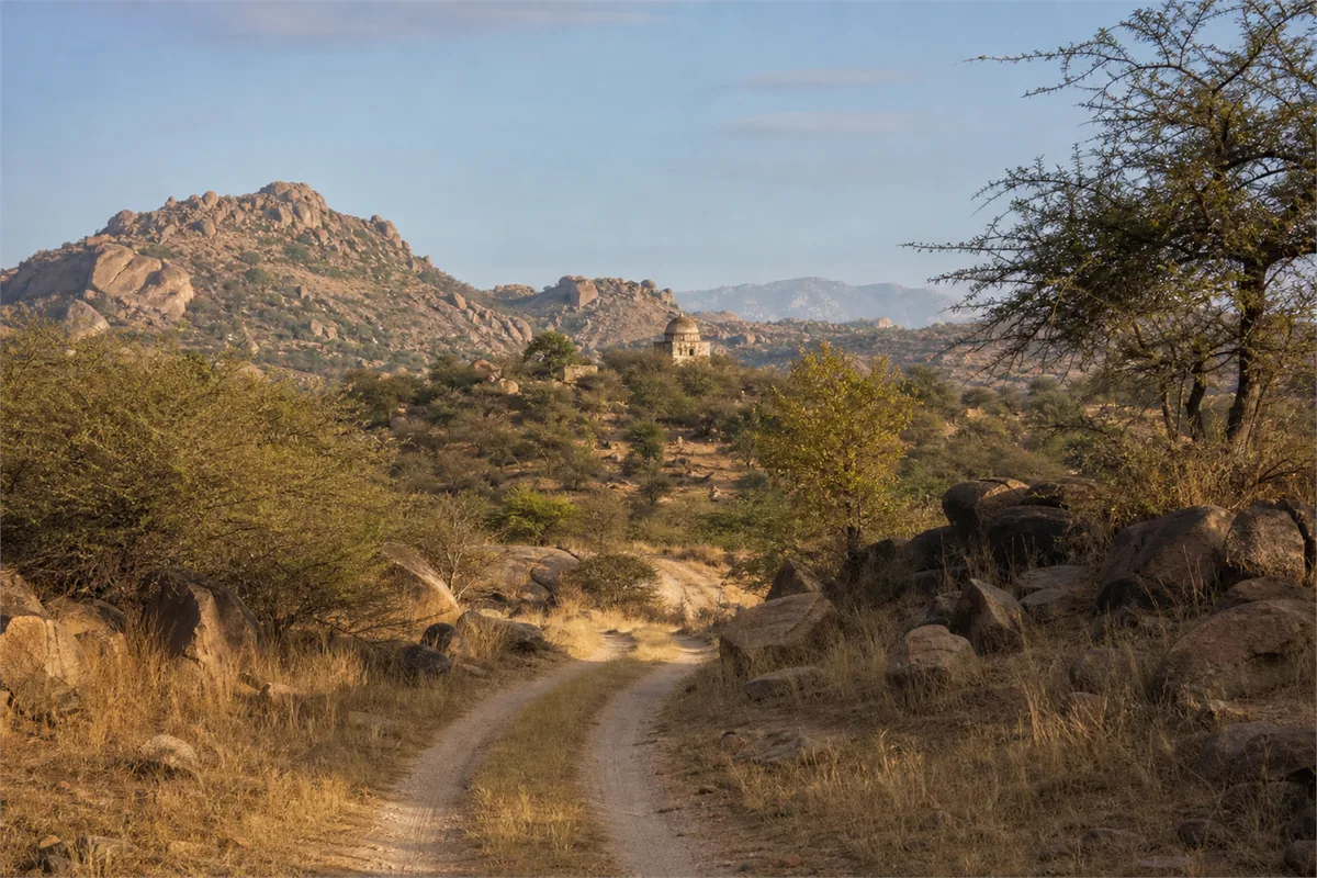 Safari à la rencontre des léopards au Rajasthan – Impression de voyage 5