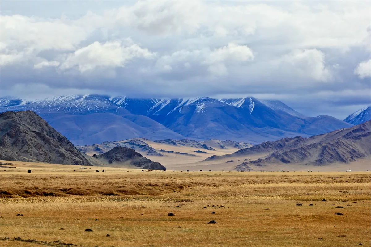 Mongolia Eagle Hunter Expedition – Travel impression 2