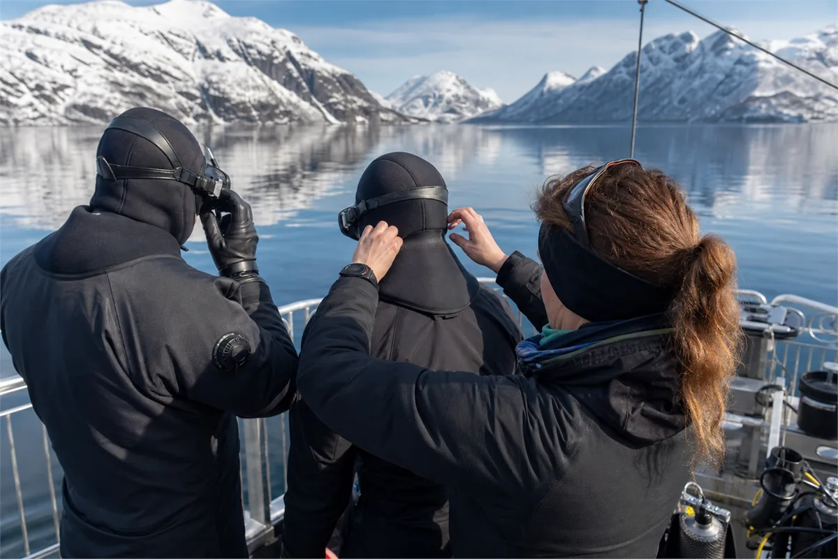 Schnorcheln mit Orcas und Walen im arktischen Norwegen – Reiseimpression 1