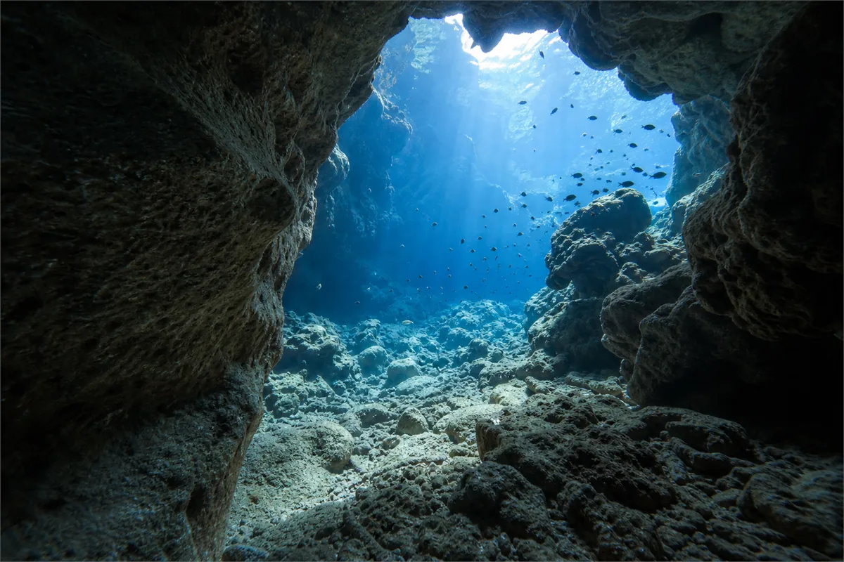 Palau Private Dive  Marine Expedition – Travel impression 6