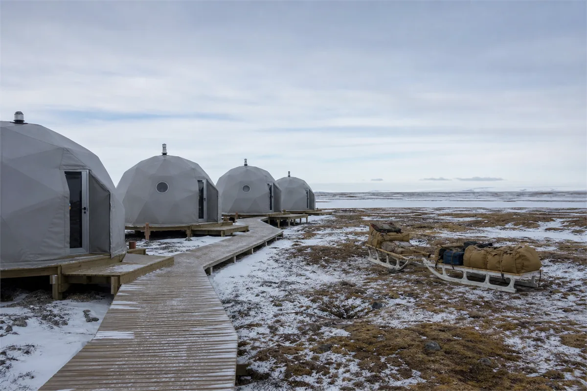 Polar Bear Walking Safari – Travel impression 3