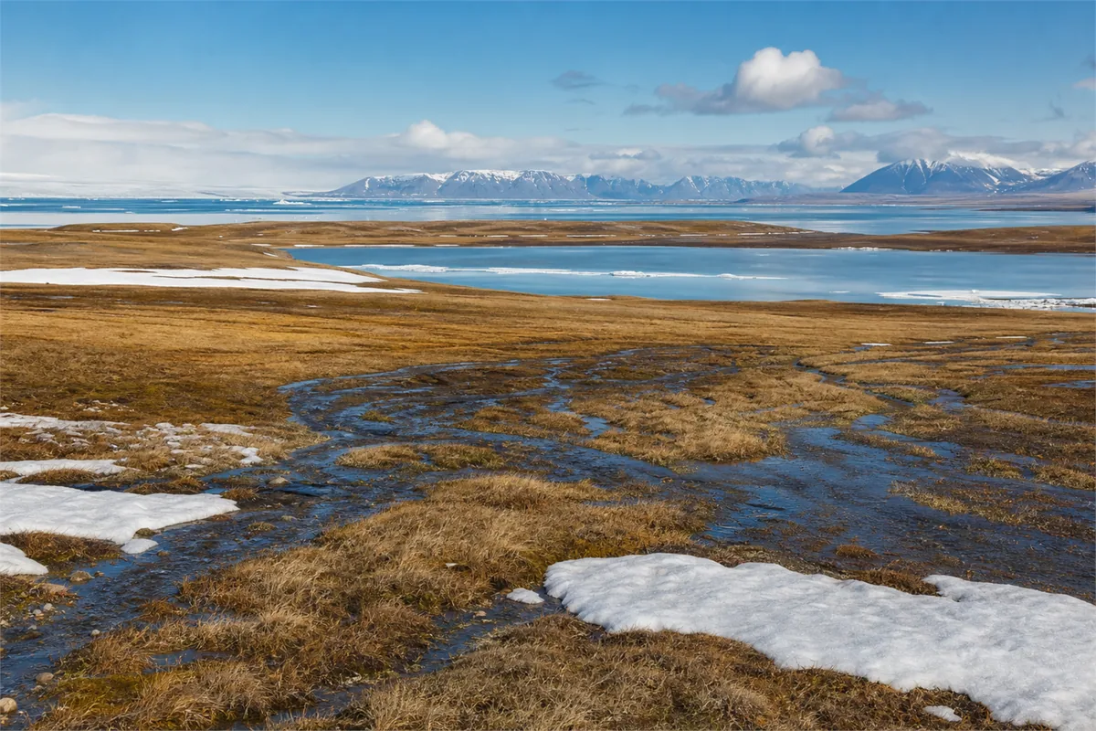 Polar Bear Walking Safari – Travel impression 5