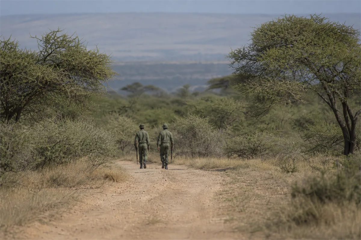 Expédition privée de conservation – Impression de voyage 4