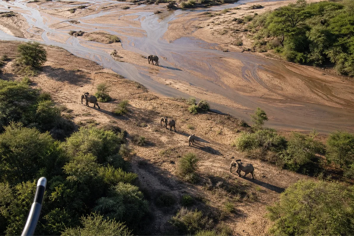 Safari en hélicoptère privé au Kenya et en Éthiopie – Impression de voyage 2