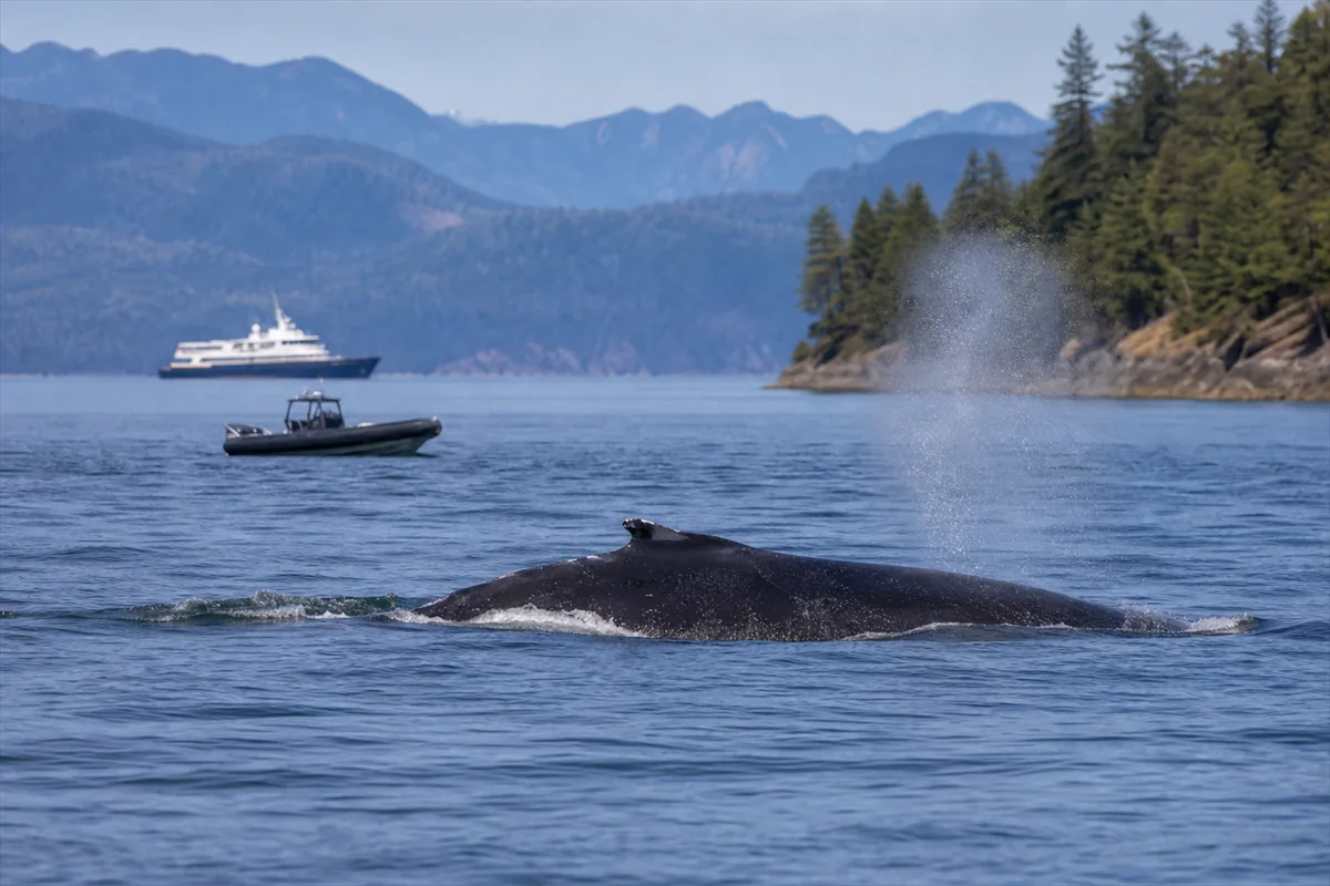 Expédition en yacht privé sur la côte Pacifique du Canada – Impression de voyage 2