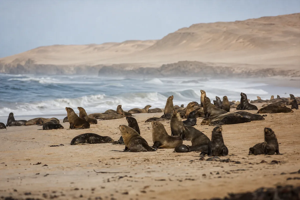 Skeleton Coast Flying Safari – Travel impression 3