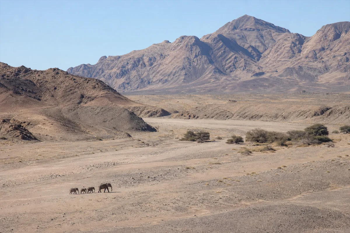 Skeleton Coast Flying Safari – Travel impression 6