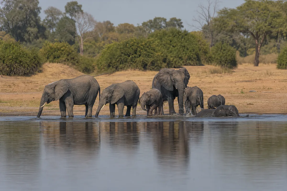 Zakouma National Park Expedition – Travel impression 1