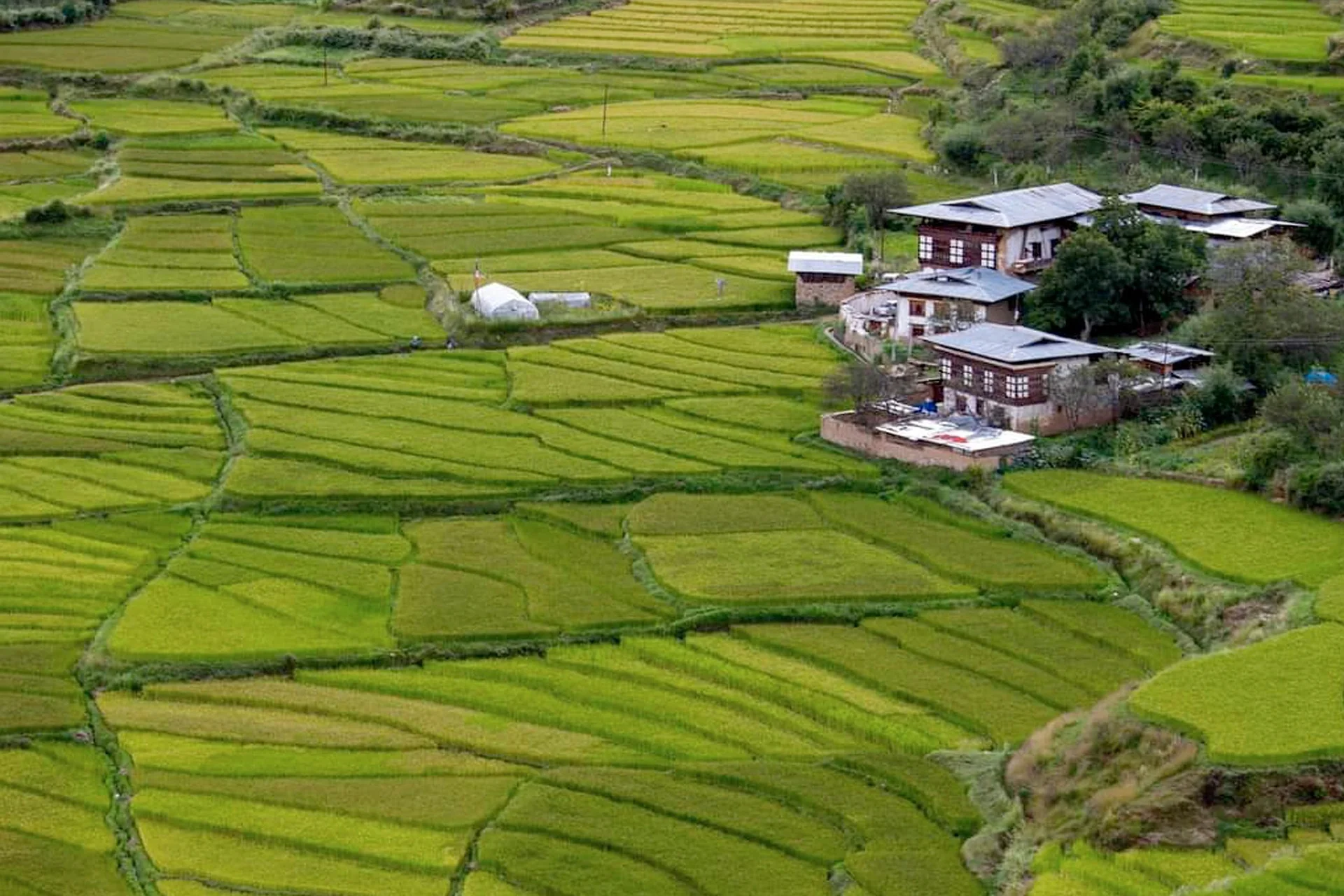 Luxury trip to Bhutan Image 1 Luxury tour of Bhutan – selected journey view 2
