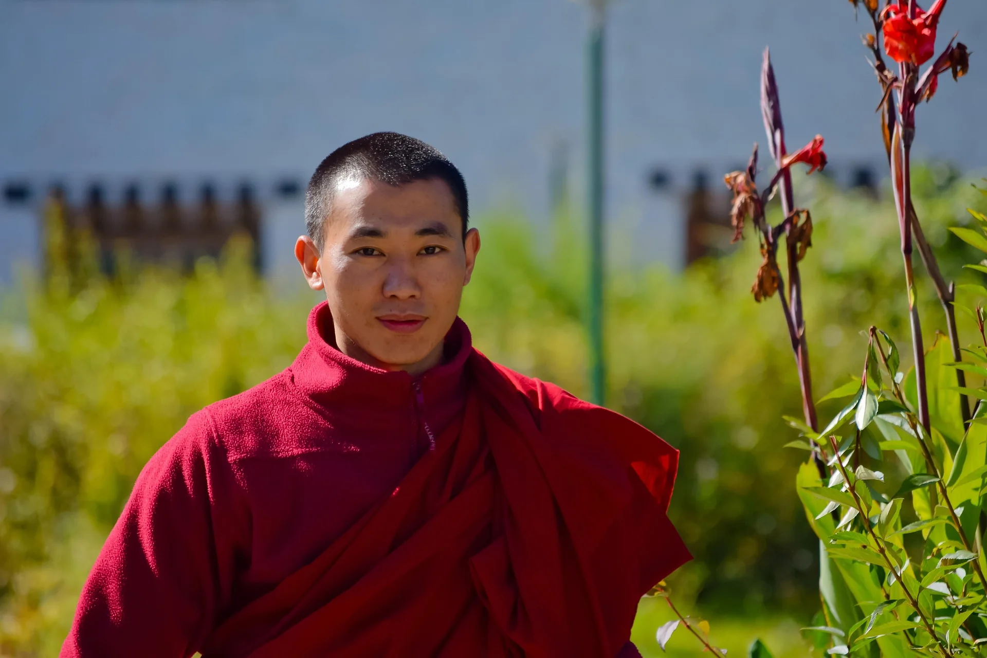 Luxury trip Bhutan image 6 Luxury tour of Bhutan – selected journey view 7
