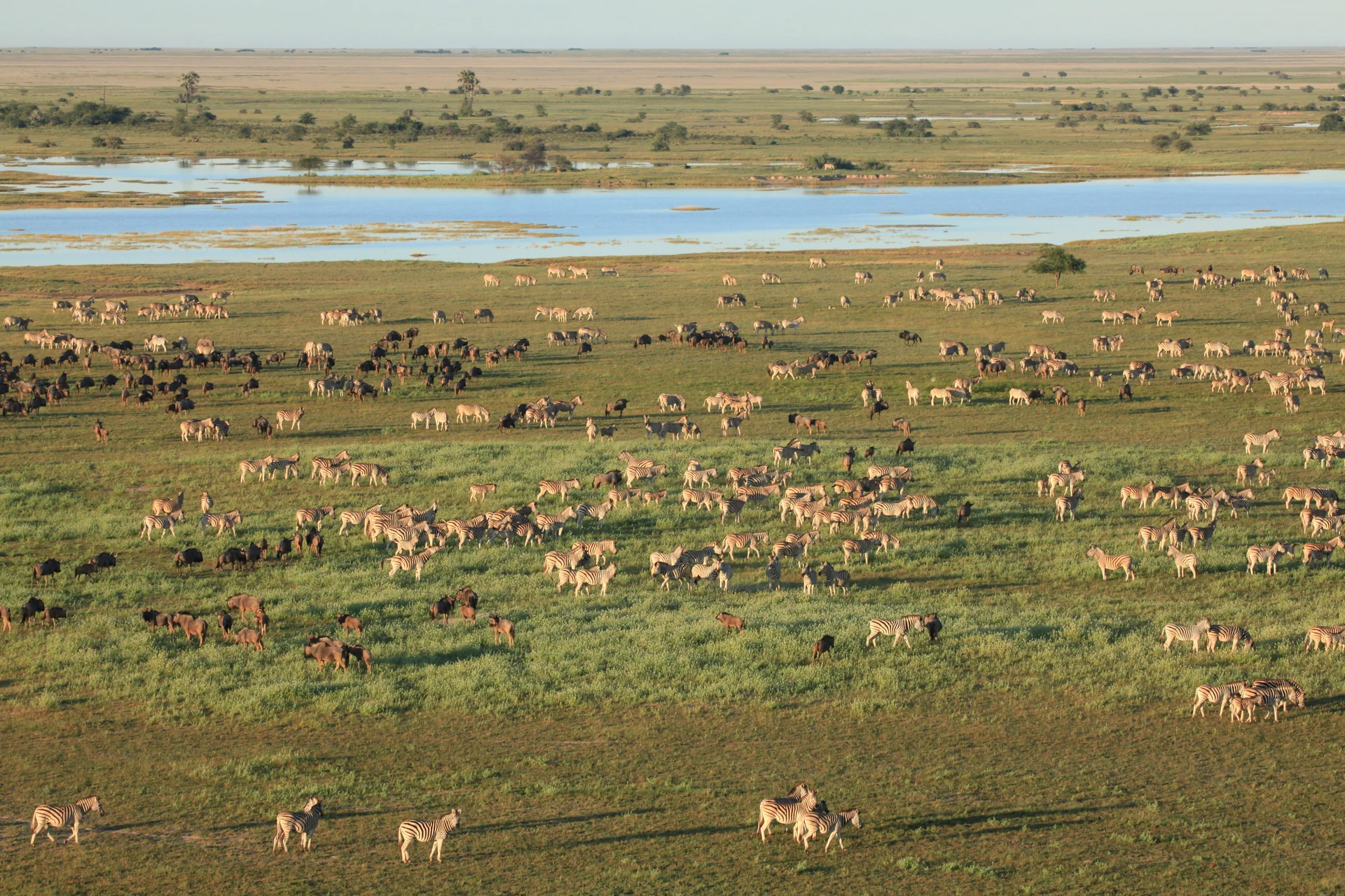 Voyage de luxe au Botswana – étape 2 du voyage
