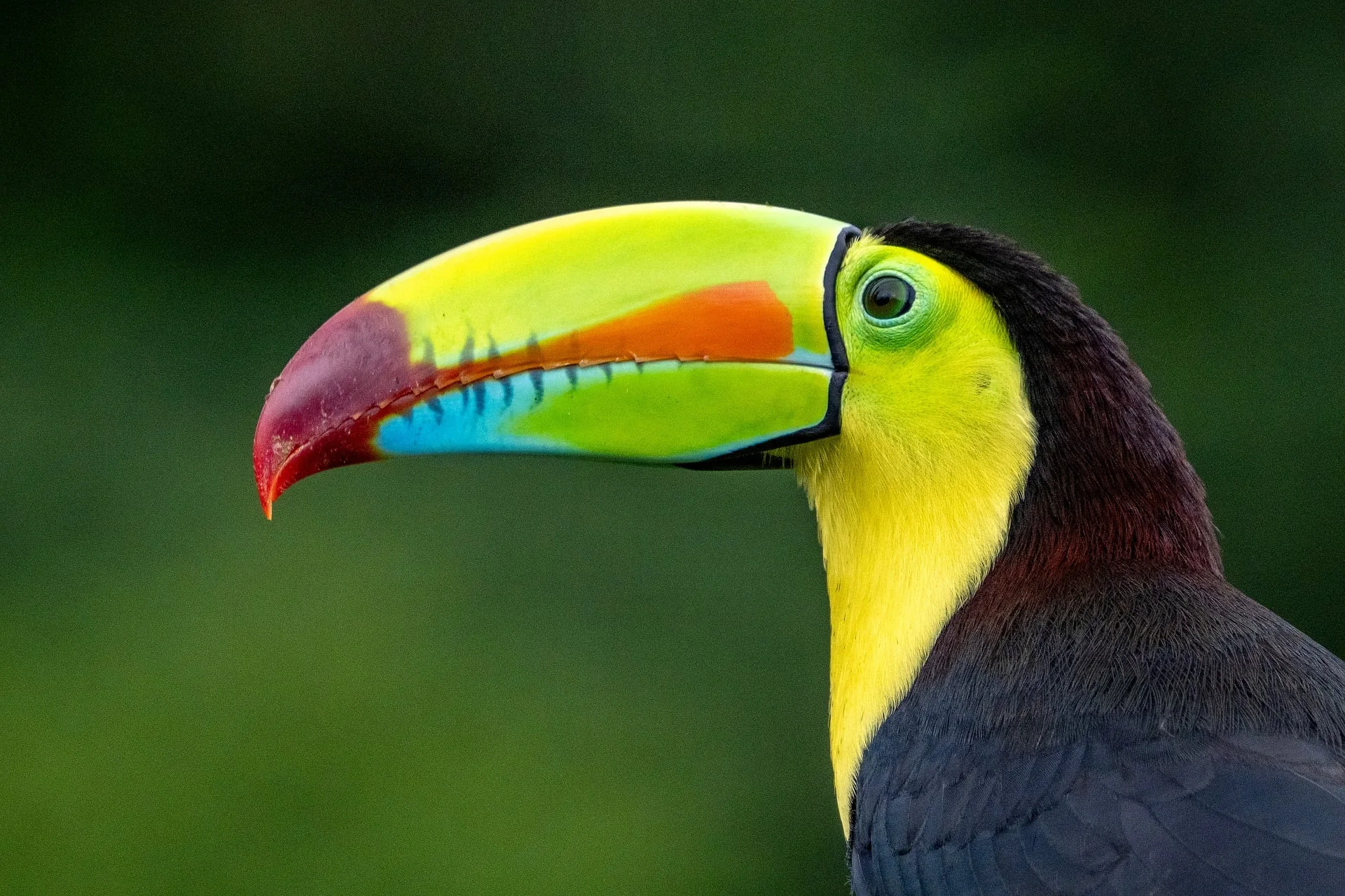 Voyage de luxe au Costa Rica – étape 6 du voyage