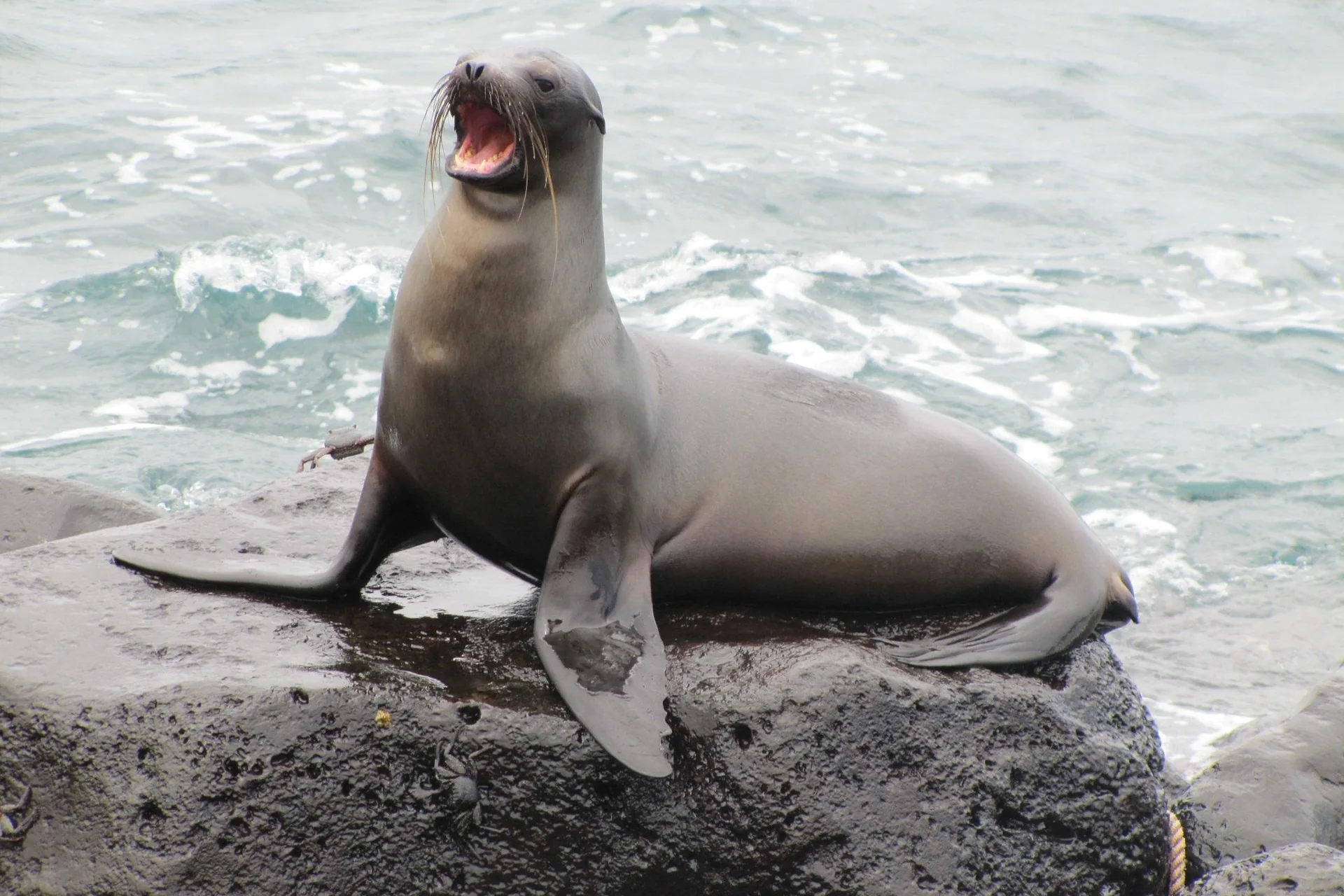 Voyage de luxe en Équateur et aux Galápagos – étape 2 du voyage