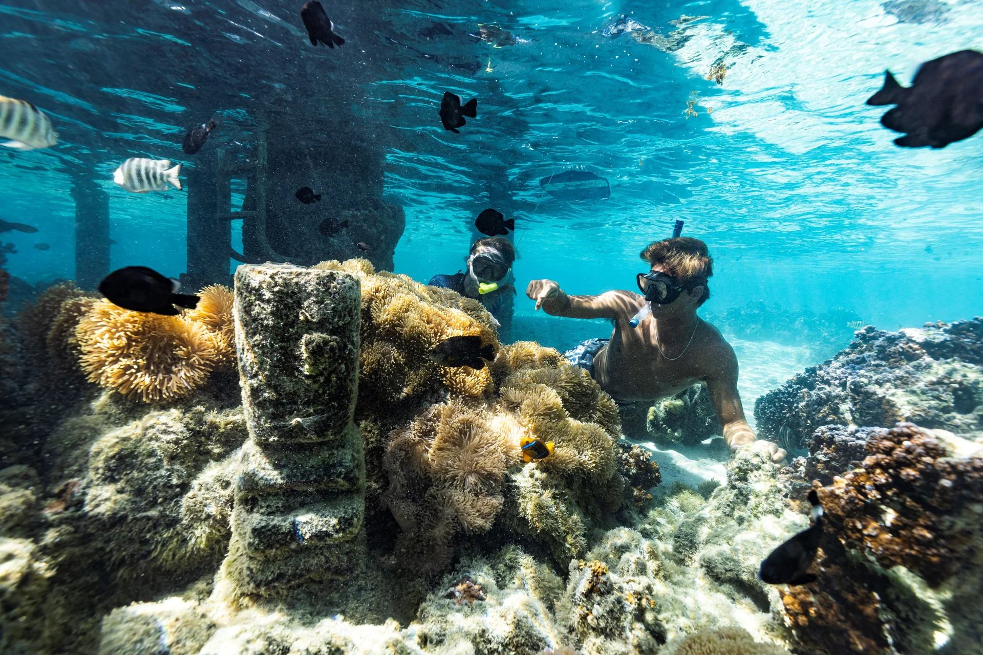 Voyage de luxe en Polynésie française – aperçu du voyage