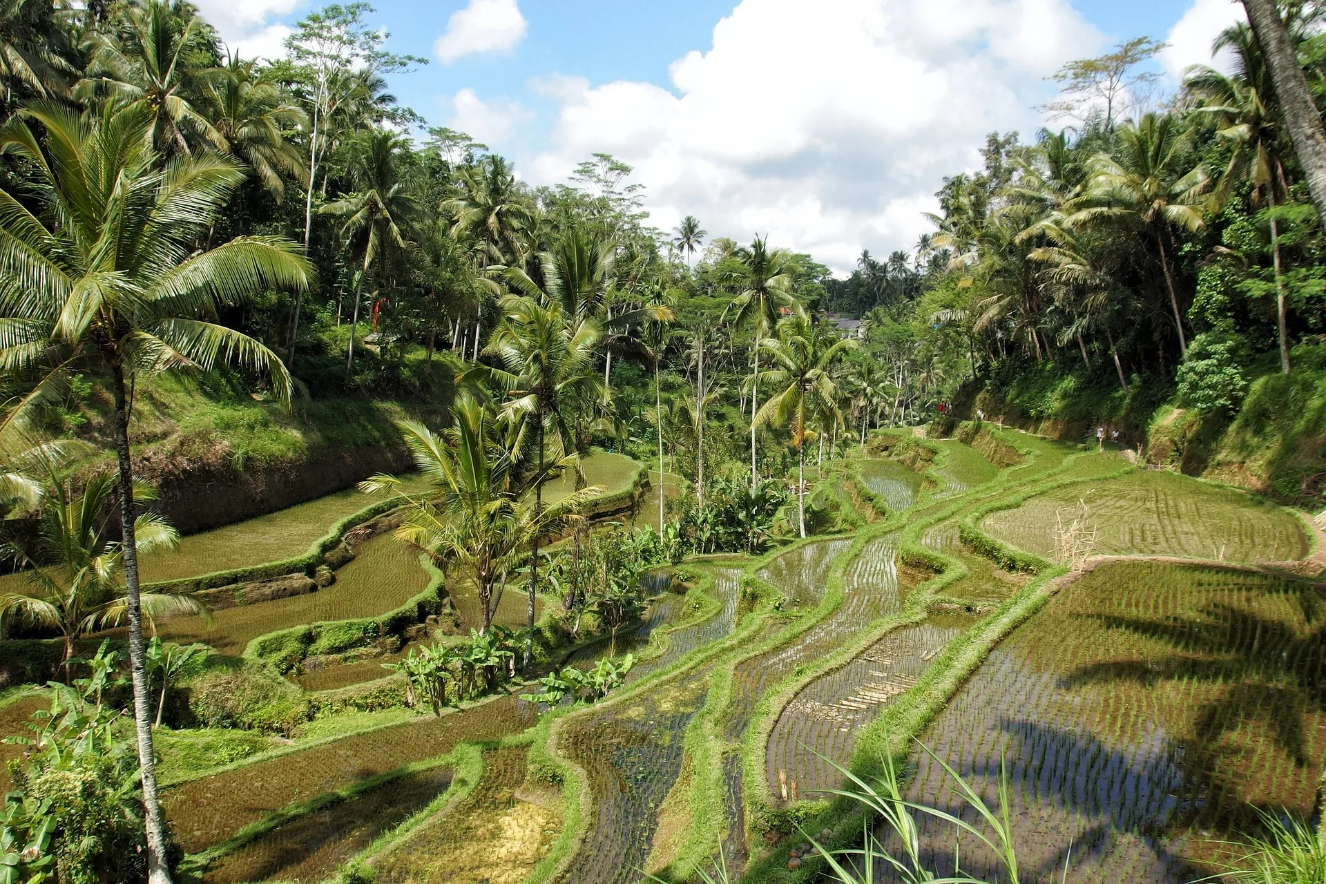 Luxusrundreise Indonesien – ausgewählte Reiseimpression 2